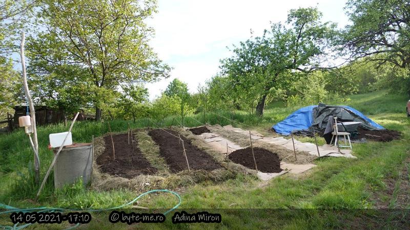 Realizarea straturilor in Gradina Noua 